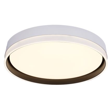 LED Plafonjera FLORIDA LED/24W/230V bela