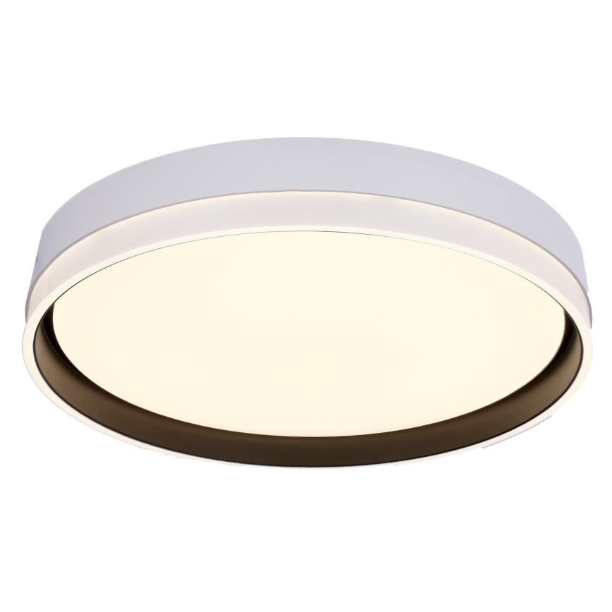 LED Plafonjera FLORIDA LED/24W/230V bela
