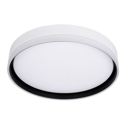 LED Plafonjera FLORIDA LED/24W/230V bela