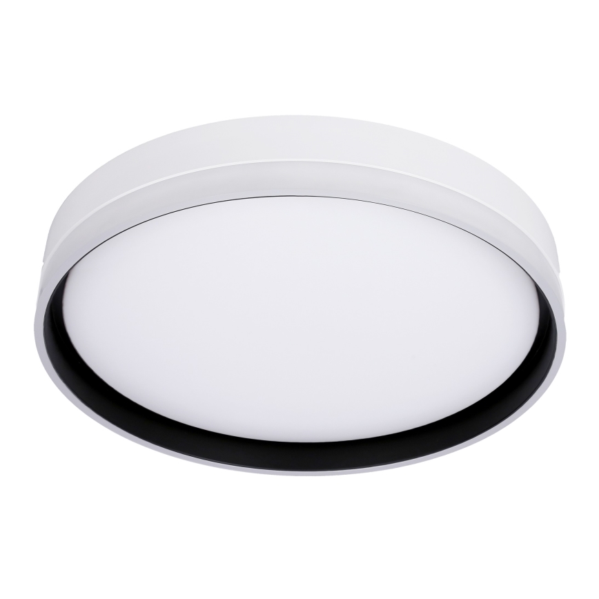 LED Plafonjera FLORIDA LED/24W/230V bela