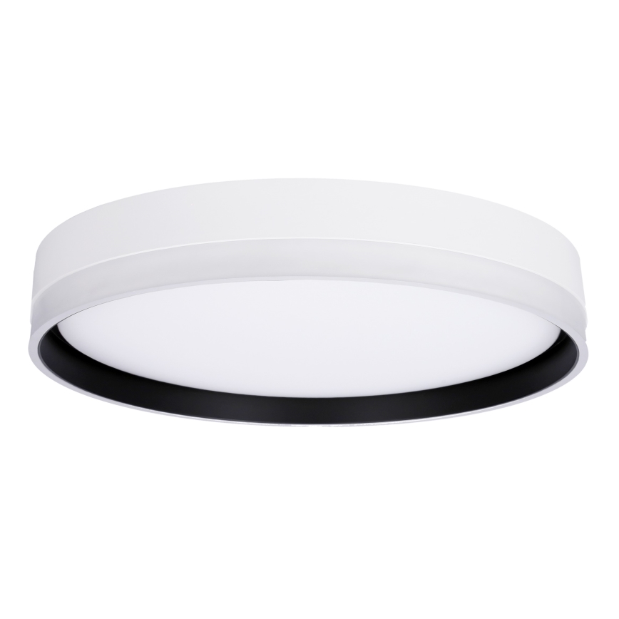 LED Plafonjera FLORIDA LED/24W/230V bela