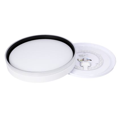 LED Plafonjera FLORIDA LED/24W/230V bela