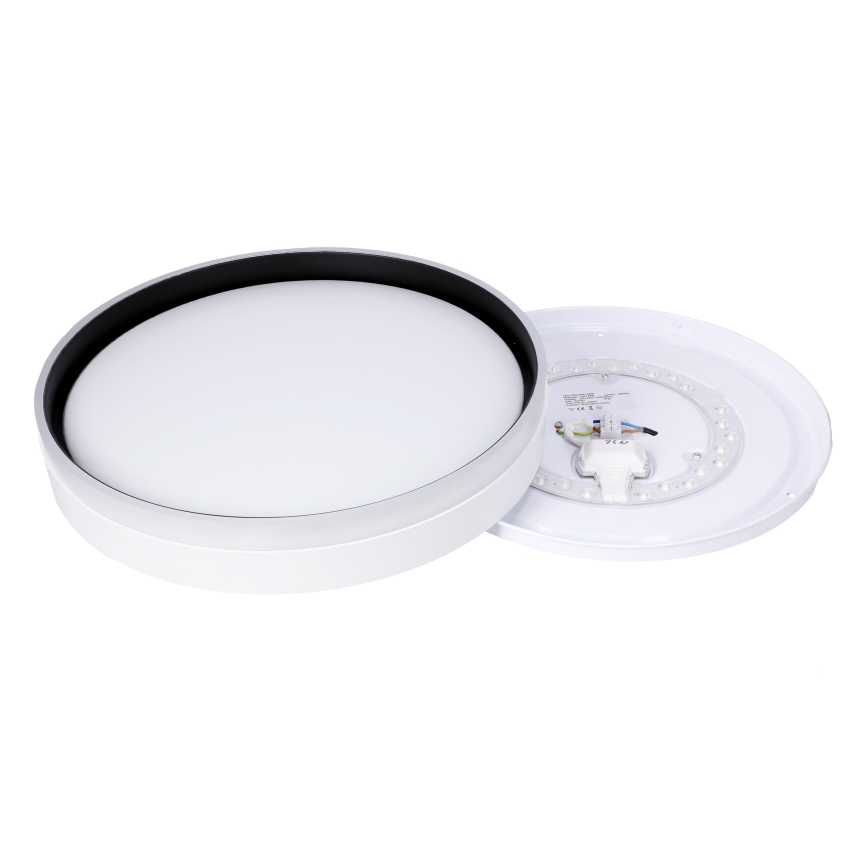 LED Plafonjera FLORIDA LED/24W/230V bela
