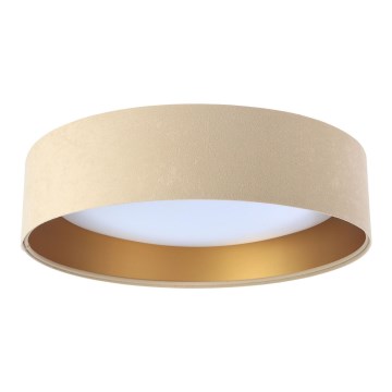 LED Plafonjera GALAXY 1xLED/24W/230V bež/zlatna