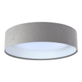 LED Plafonjera GALAXY 1xLED/24W/230V sivo/bela