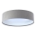 LED Plafonjera GALAXY 1xLED/24W/230V sivo/bela