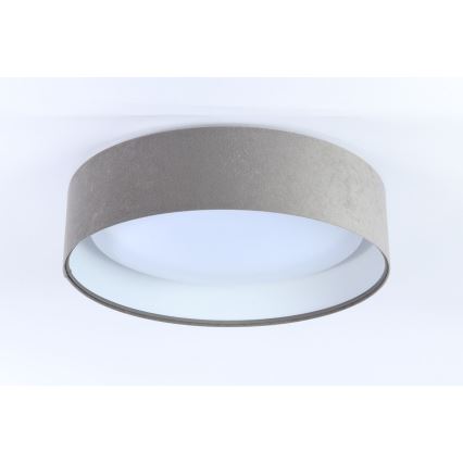 LED Plafonjera GALAXY 1xLED/24W/230V sivo/bela