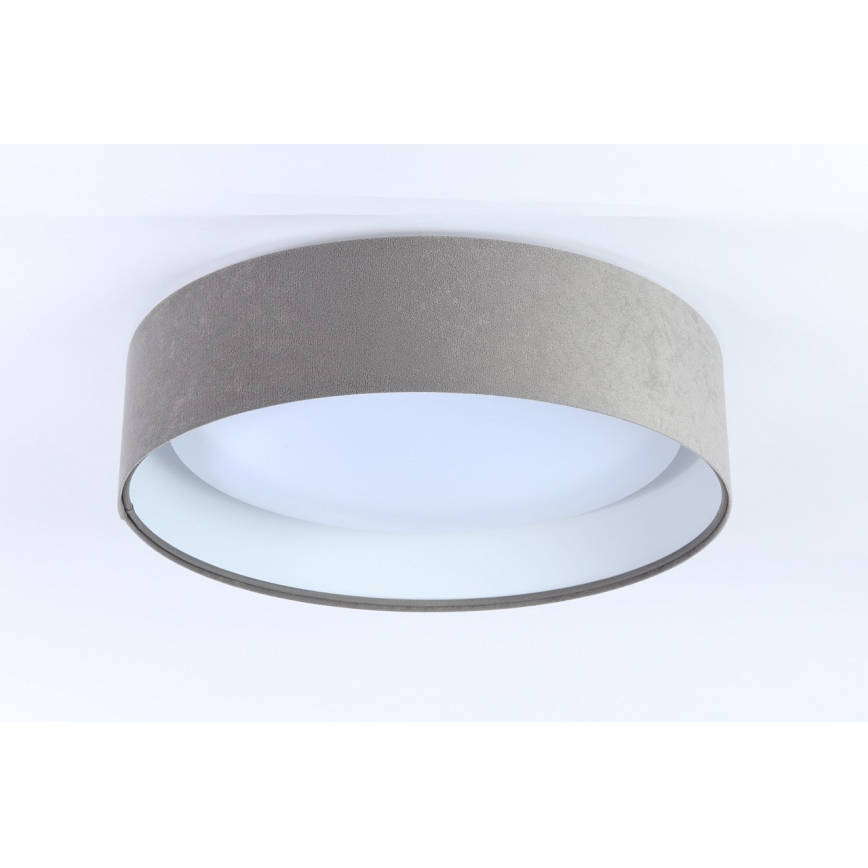 LED Plafonjera GALAXY 1xLED/24W/230V sivo/bela