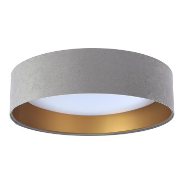 LED Plafonjera GALAXY 1xLED/24W/230V sivo/zlatna