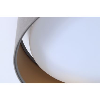 LED Plafonjera GALAXY 1xLED/24W/230V sivo/zlatna