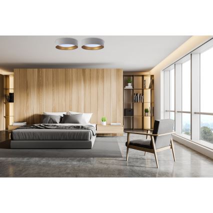 LED Plafonjera GALAXY 1xLED/24W/230V sivo/zlatna