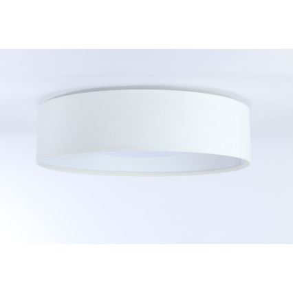 LED Plafonjera GALAXY LED/24W/230V bela