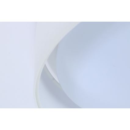 LED Plafonjera GALAXY LED/24W/230V bela