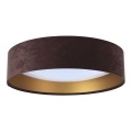 LED Plafonjera GALAXY LED/24W/230V braon/zlatna