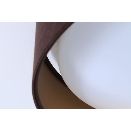 LED Plafonjera GALAXY LED/24W/230V braon/zlatna