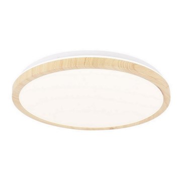 LED Plafonjera GANDAVA LED/24W/230V