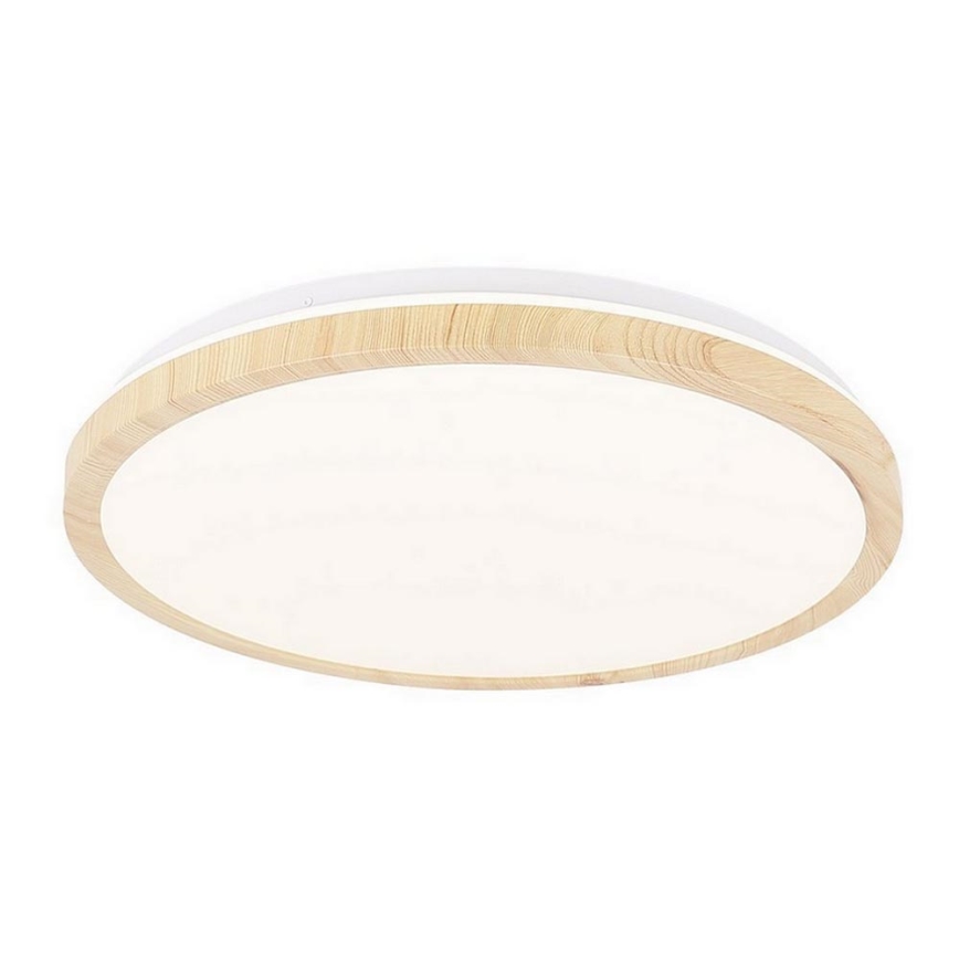 LED Plafonjera GANDAVA LED/24W/230V