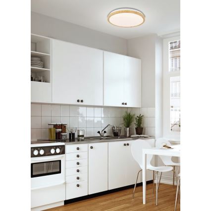 LED Plafonjera GANDAVA LED/24W/230V
