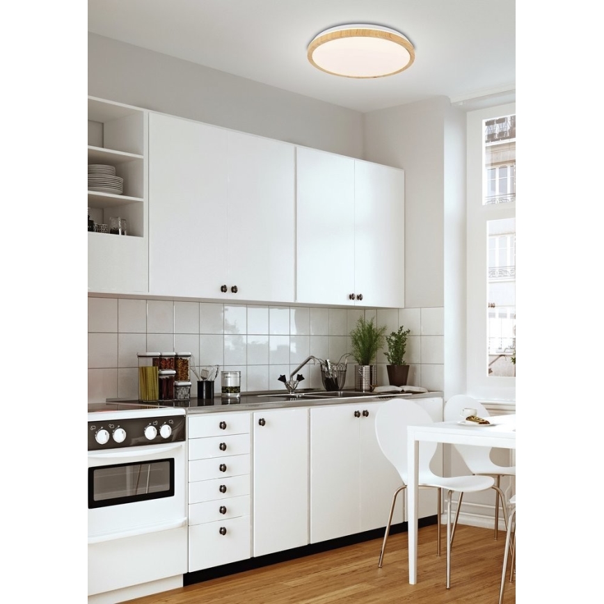 LED Plafonjera GANDAVA LED/24W/230V