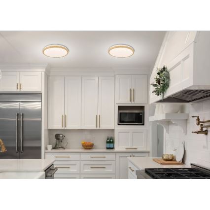 LED Plafonjera GANDAVA LED/24W/230V