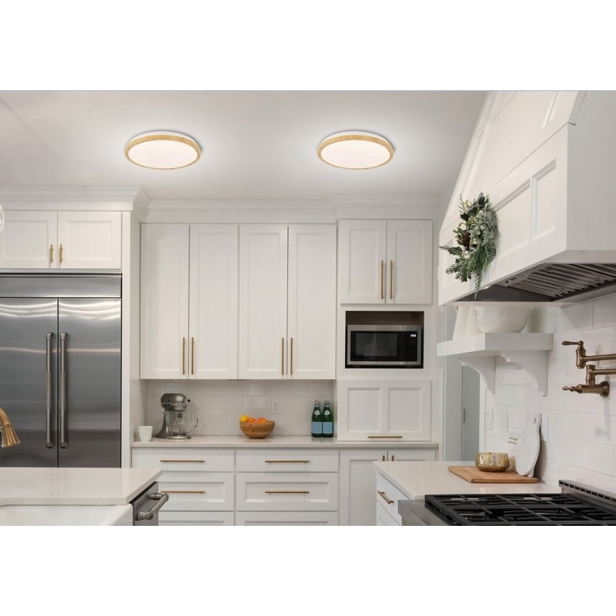 LED Plafonjera GANDAVA LED/24W/230V