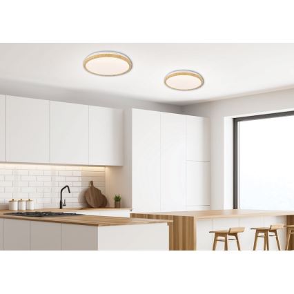 LED Plafonjera GANDAVA LED/24W/230V