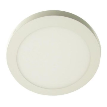 LED Plafonjera GERRIT LED/24W/230V 6500K bela