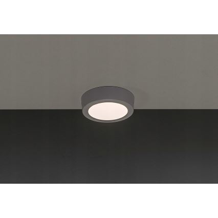 LED Plafonjera GERRIT LED/6W/230V 3000K