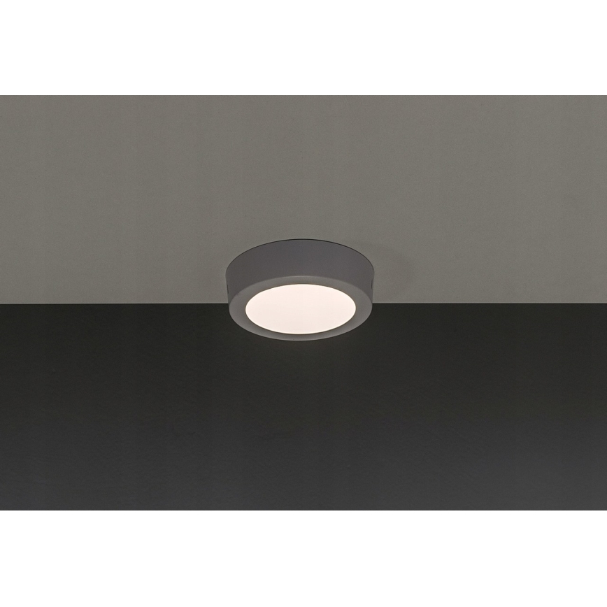 LED Plafonjera GERRIT LED/6W/230V 3000K
