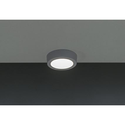 LED Plafonjera GERRIT LED/6W/230V 4000K