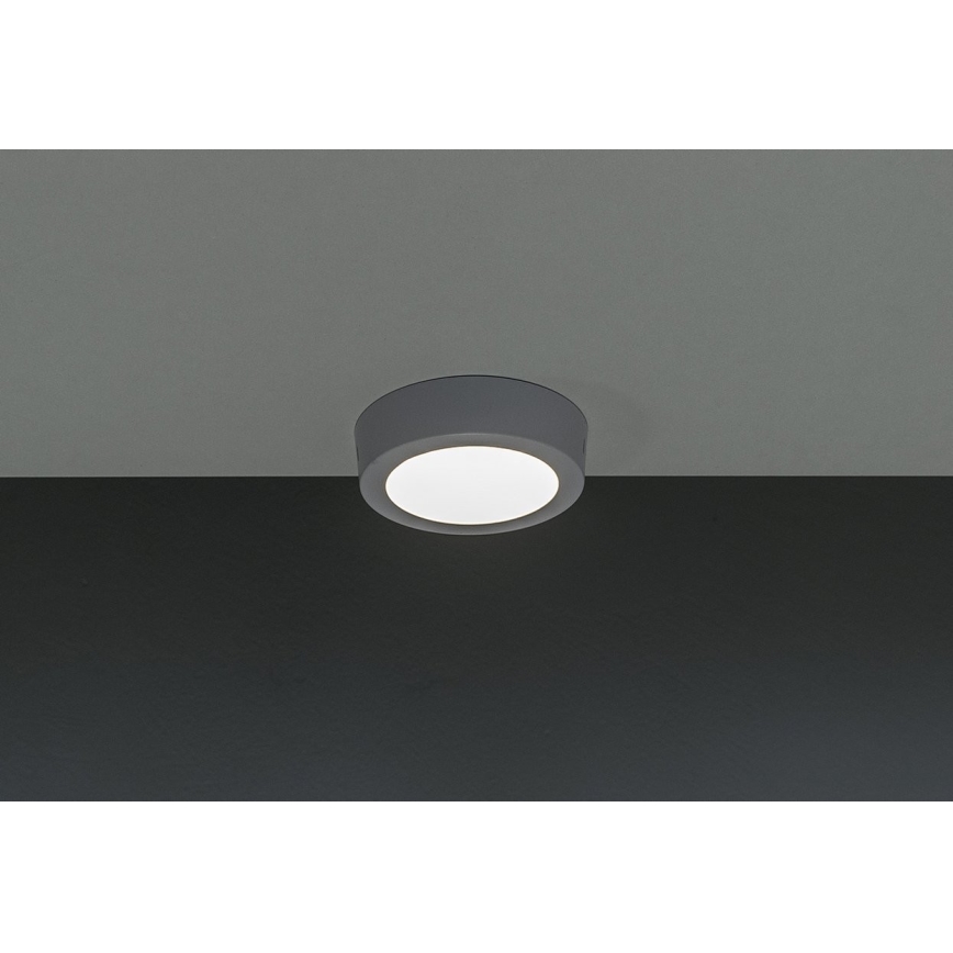 LED Plafonjera GERRIT LED/6W/230V 4000K