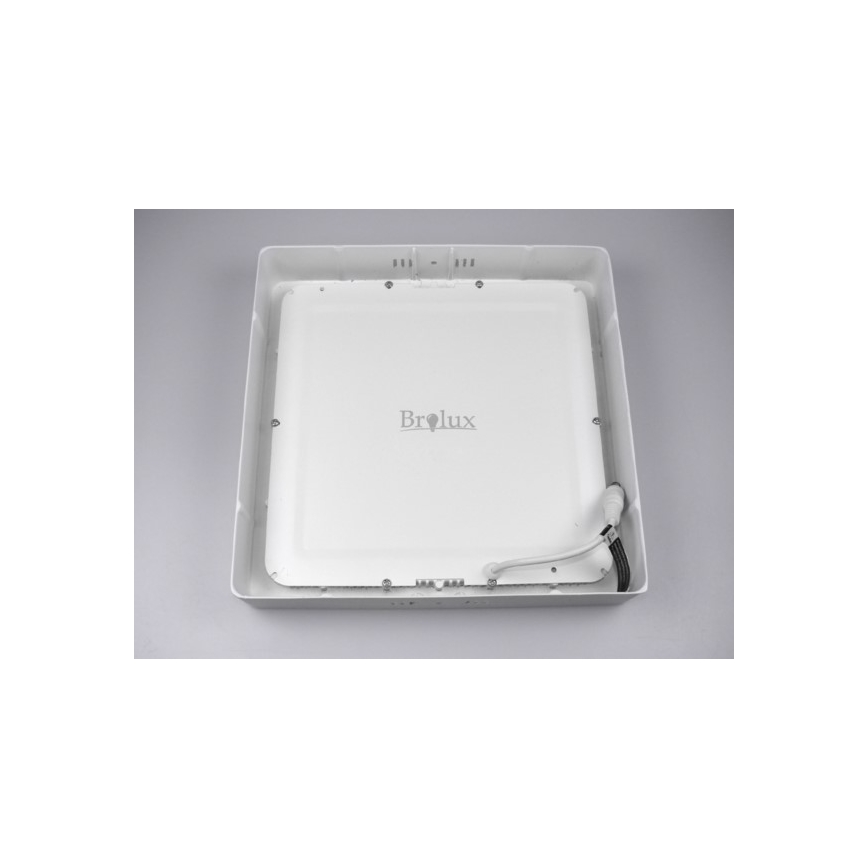 LED Plafonjera GERRY LED/12W/230V 3000K bela