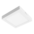 LED Plafonjera GERRY LED/24W/230V 3000K