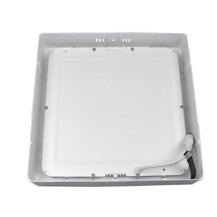 LED Plafonjera GERRY LED/24W/230V 3000K
