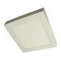 LED Plafonjera GERRY LED/24W/230V 4000K