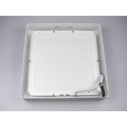 LED Plafonjera GERRY LED/24W/230V 6000K