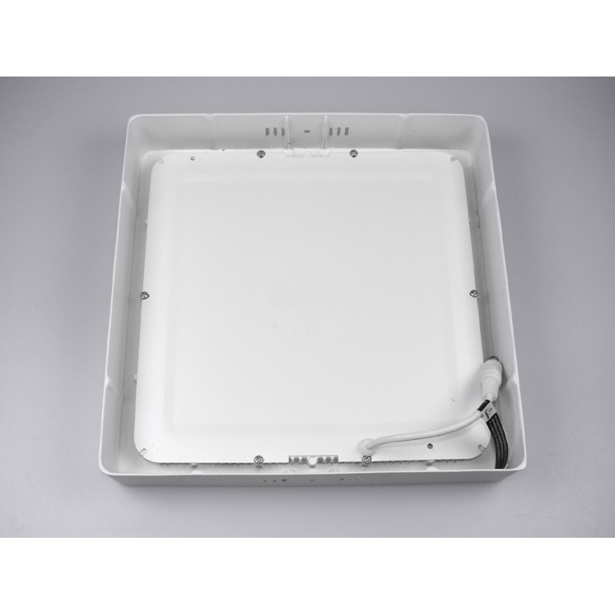LED Plafonjera GERRY LED/24W/230V 6000K