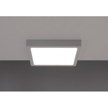 LED Plafonjera GERRY LED/6W/230V 3000K