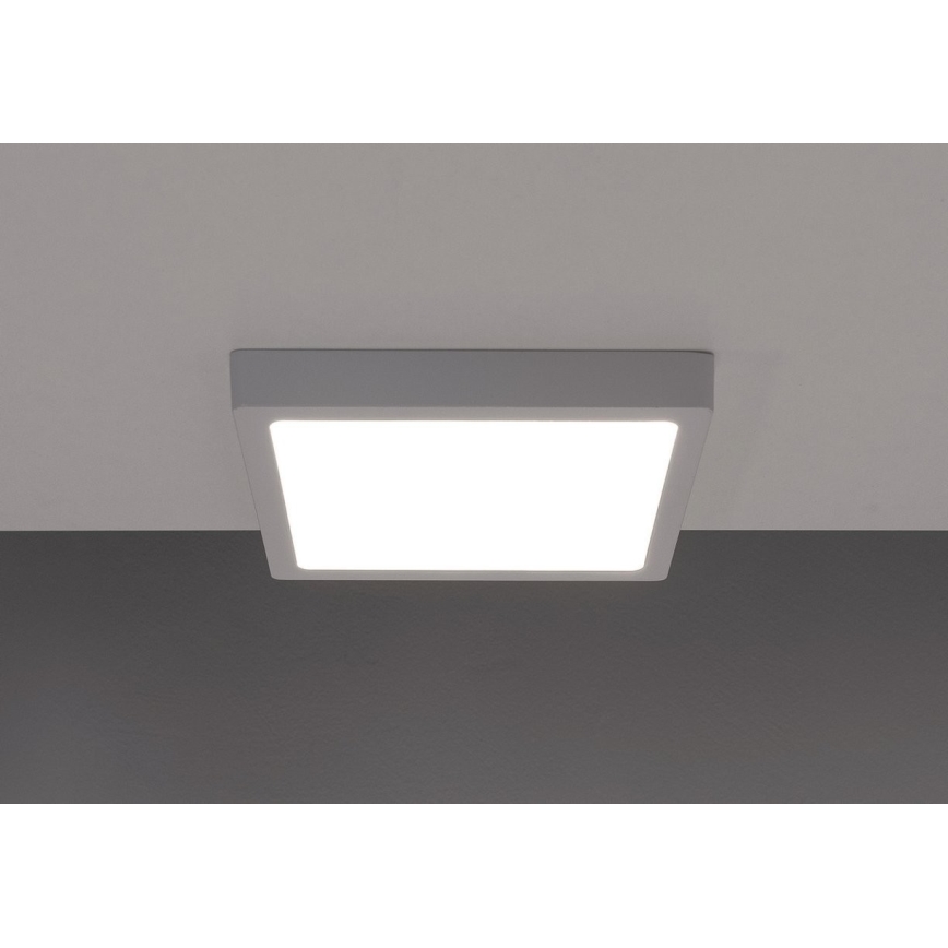 LED Plafonjera GERRY LED/6W/230V 3000K