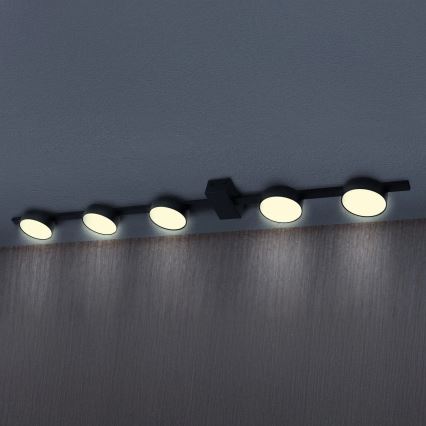 LED Plafonjera JOY 5xGX53/6W/230V crno