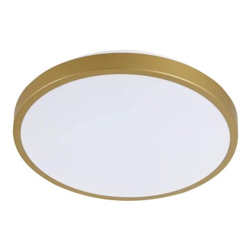 LED Plafonjera KERN LED/15W/230V pr. 29 cm