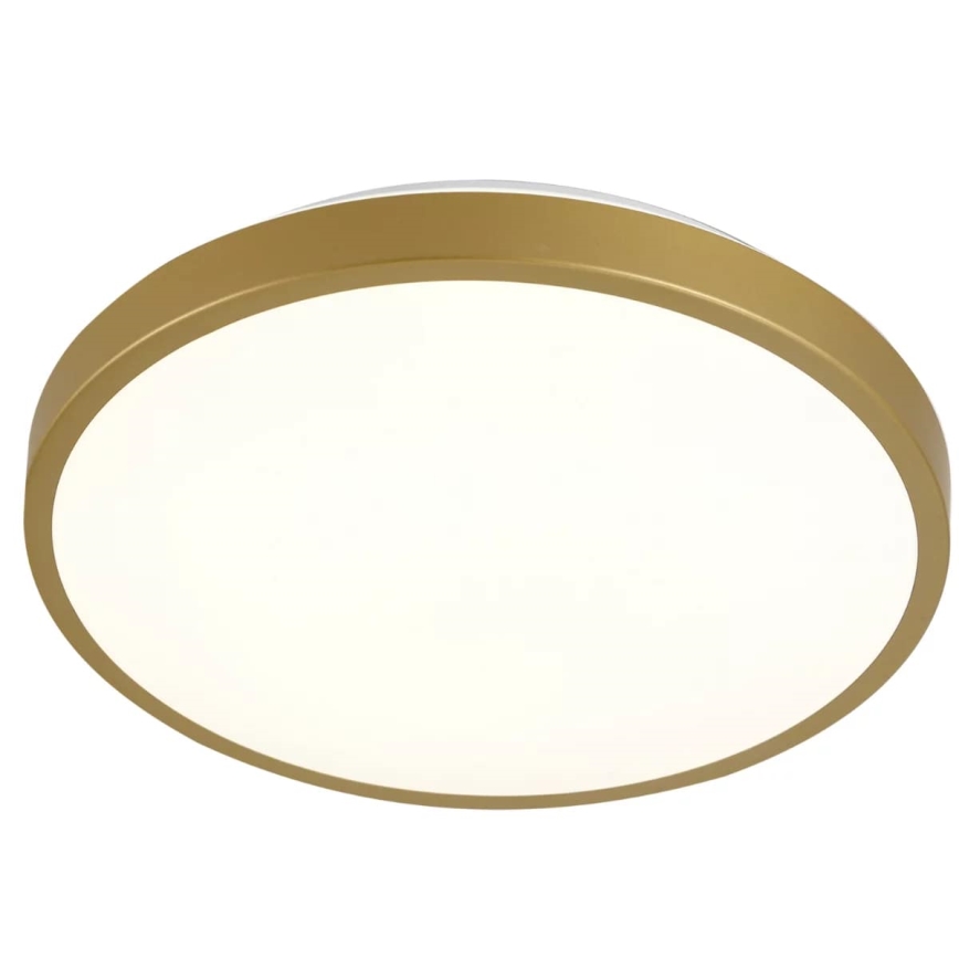LED Plafonjera KERN LED/15W/230V pr. 29 cm