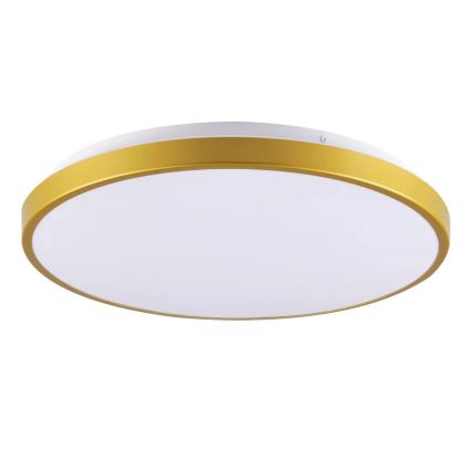 LED Plafonjera KERN LED/15W/230V pr. 29 cm