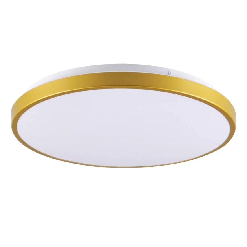 LED Plafonjera KERN LED/15W/230V pr. 29 cm