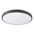LED Plafonjera KERN LED/24W/230V crno