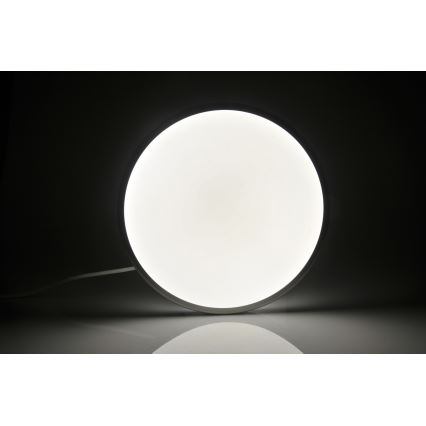 LED Plafonjera KERN LED/24W/230V nikl