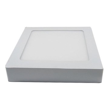 LED Plafonjera LED/12W/230V 3000K