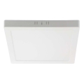 LED Plafonjera LED/12W/230V 4000K 16,7x16,7 cm bela