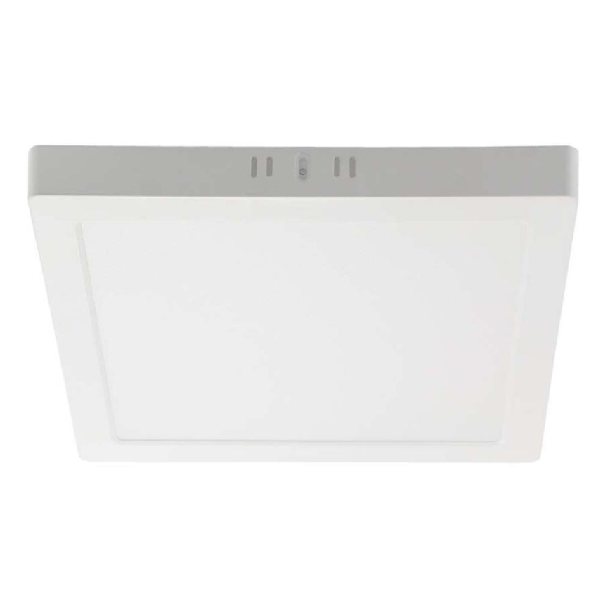 LED Plafonjera LED/12W/230V 4000K 16,7x16,7 cm bela