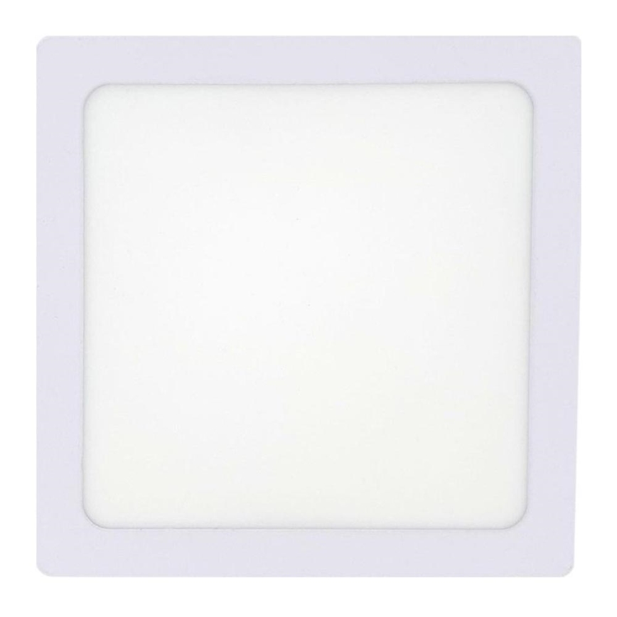 LED Plafonjera LED/12W/230V 4200K 16,3x16,3 cm bela